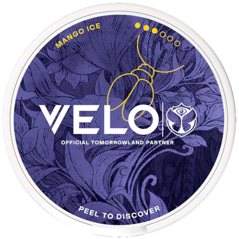 VELO Mango Ice Tomorrowland 2026 Slim Strong