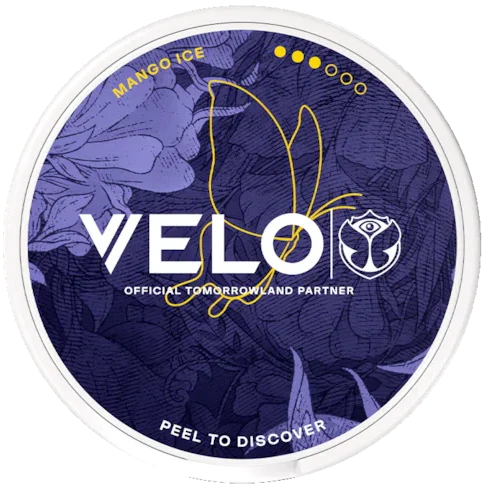 VELO Mango Ice Tomorrowland 2026 Slim Strong