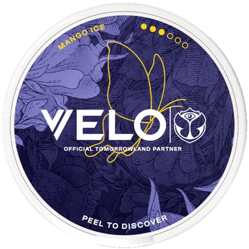 VELO Mango Ice Tomorrowland 2026 Slim Strong