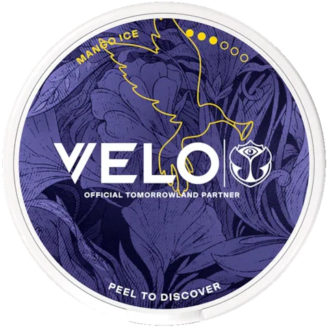 VELO Mango Ice Tomorrowland 2026 Slim Strong