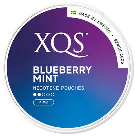 XQS Blueberry Mint Slim Normal