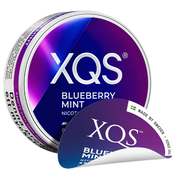 XQS Blueberry Mint Slim Normal