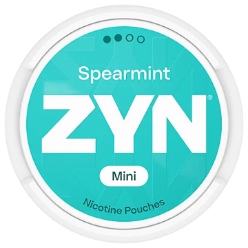ZYN Spearmint Mini Dry Normal